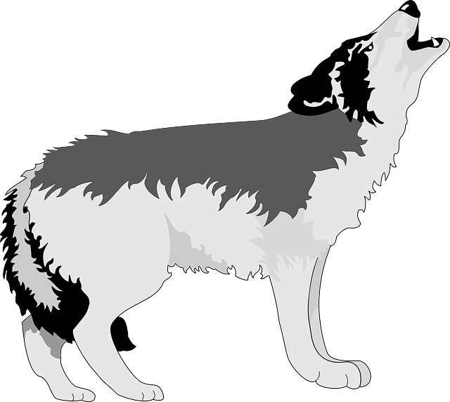 source pixabay licenseFree 